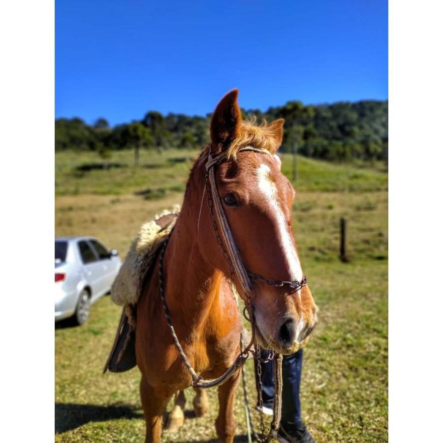Cabanas Fazenda Da Raia อูรูบิซิ ภายนอก รูปภาพ